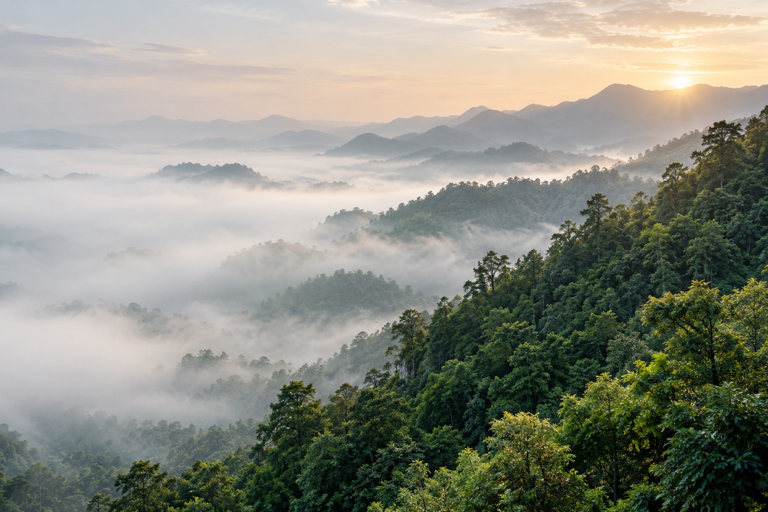 Layers of green forested hills in the morning mist